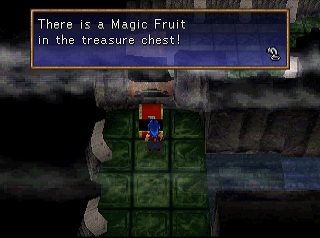 magic fruit in a chest