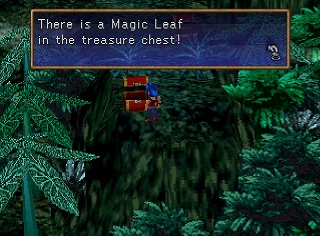 A Magic Leaf in a chest