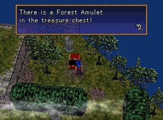 Forest Amulet in chest