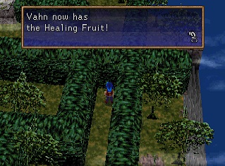 healing fruit in maze