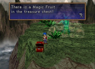 magic fruit in chest