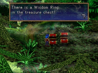 wisdom ring in chest