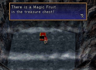 magic fruit in a chest