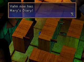 mary's diary on a shelf