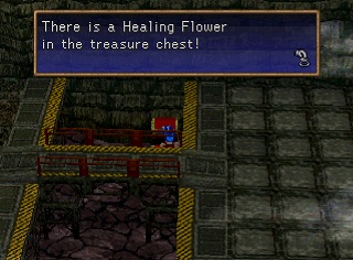 Healing flower in chest.