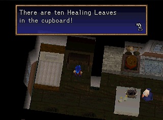 Ten healing leaves in cupboard